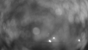 Hospitál Kuks - Hospitál - 12.2.2026 v 05:00 Hospitál Kuks - Hospitál - 12.2.2026 v 05:00