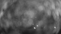 Hospitál