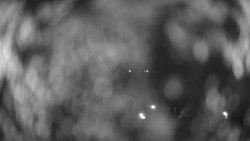 Szpital