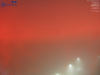 Snímek 8.11.2025 v 23:45