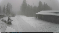 Běžecká trať, střelnice