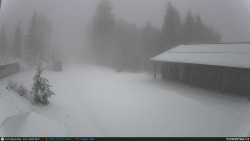 Běžecká trať, střelnice