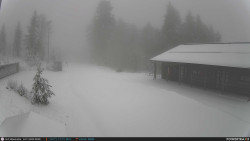 Běžecká trať, střelnice