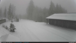 Běžecká trať, střelnice