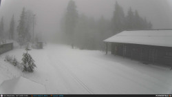 Běžecká trať, střelnice