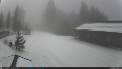 Běžecká trať, střelnice