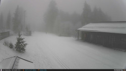 Běžecká trať, střelnice