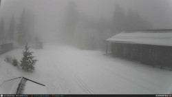 Běžecká trať, střelnice