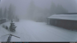 Běžecká trať, střelnice