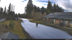 Běžecká trať, střelnice