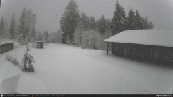 Běžecká trať, střelnice