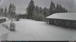 Běžecká trať, střelnice