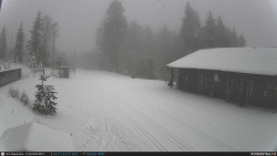 Běžecká trať, střelnice