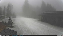 Běžecká trať, střelnice