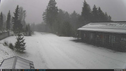 Běžecká trať, střelnice