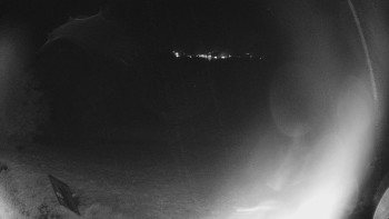 Snímek    28.10.2025 v 00:00