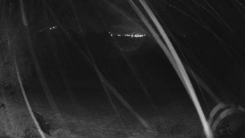 Snímek    28.10.2025 v 19:00