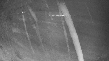 Snímek    29.10.2025 v 05:00