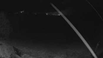 Snímek    3.11.2025 v 03:00