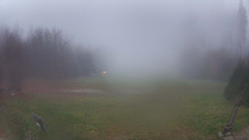 Snímek    3.11.2025 v 10:00