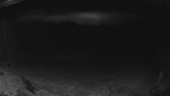 Snímek    4.11.2025 v 05:00