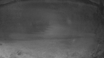 Snímek 5.11.2025 v 00:30