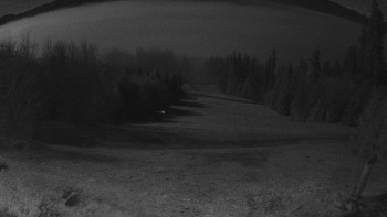 Snímek 5.11.2025 v 02:30