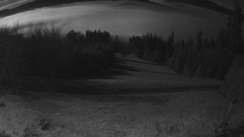 Snímek 5.11.2025 v 04:30