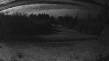 Snímek 5.11.2025 v 05:00