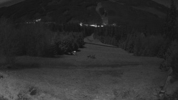 Snímek 6.11.2025 v 00:00