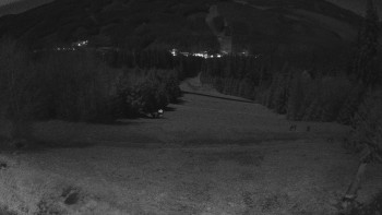 Snímek 6.11.2025 v 00:30