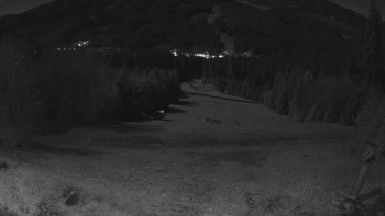 Snímek 6.11.2025 v 02:30