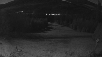 Snímek 6.11.2025 v 05:30