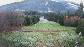 Snímek 6.11.2025 v 07:00