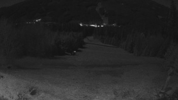 Snímek 7.11.2025 v 02:30