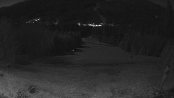 Snímek 7.11.2025 v 04:30