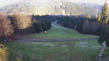 Snímek 7.11.2025 v 08:30