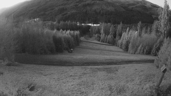 Snímek 7.11.2025 v 17:00