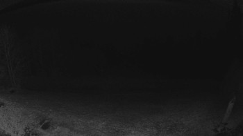 Snímek 8.11.2025 v 19:30