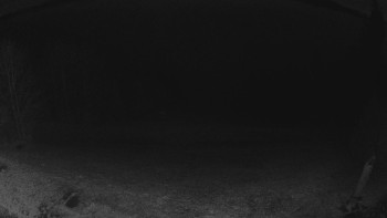 Snímek 8.11.2025 v 20:00