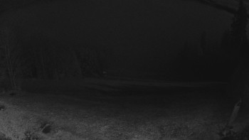 Snímek 8.11.2025 v 21:30