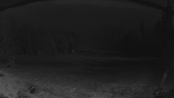 Snímek 8.11.2025 v 22:00