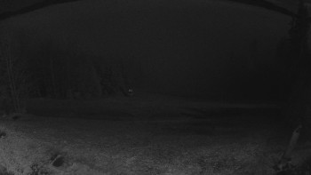 Snímek 8.11.2025 v 22:30