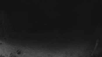 Snímek 14.11.2025 v 03:00