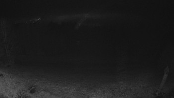 Snímek 15.11.2025 v 22:30