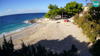 Snímek    29.10.2025 v 09:30