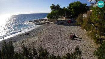 Snímek    29.10.2025 v 14:00