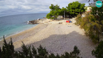 Snímek    31.10.2025 v 09:00