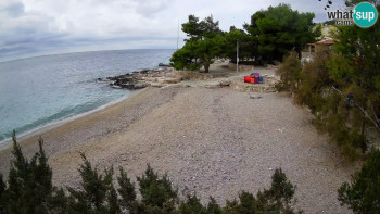 Snímek    31.10.2025 v 10:00