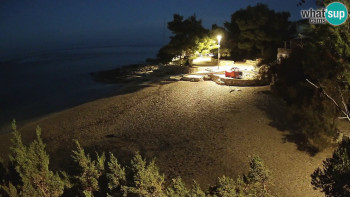 Snímek    1.11.2025 v 05:45